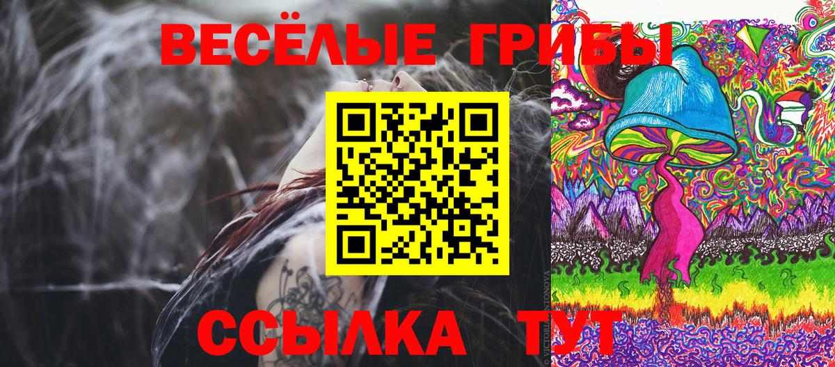 Псилоцибиновые грибы GOLDEN TEACHER Пугачёв